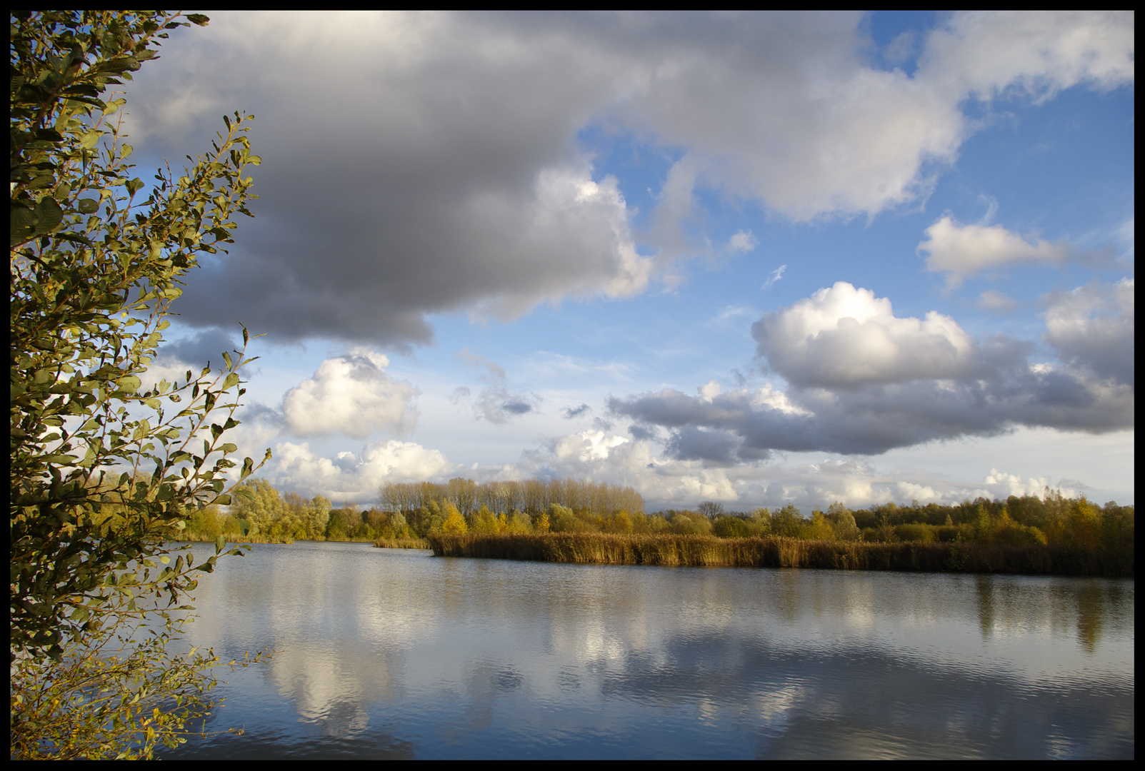 Etang de la Puchoi