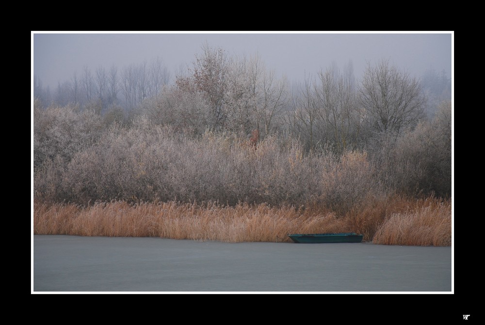 etang de la st Hubert gelé