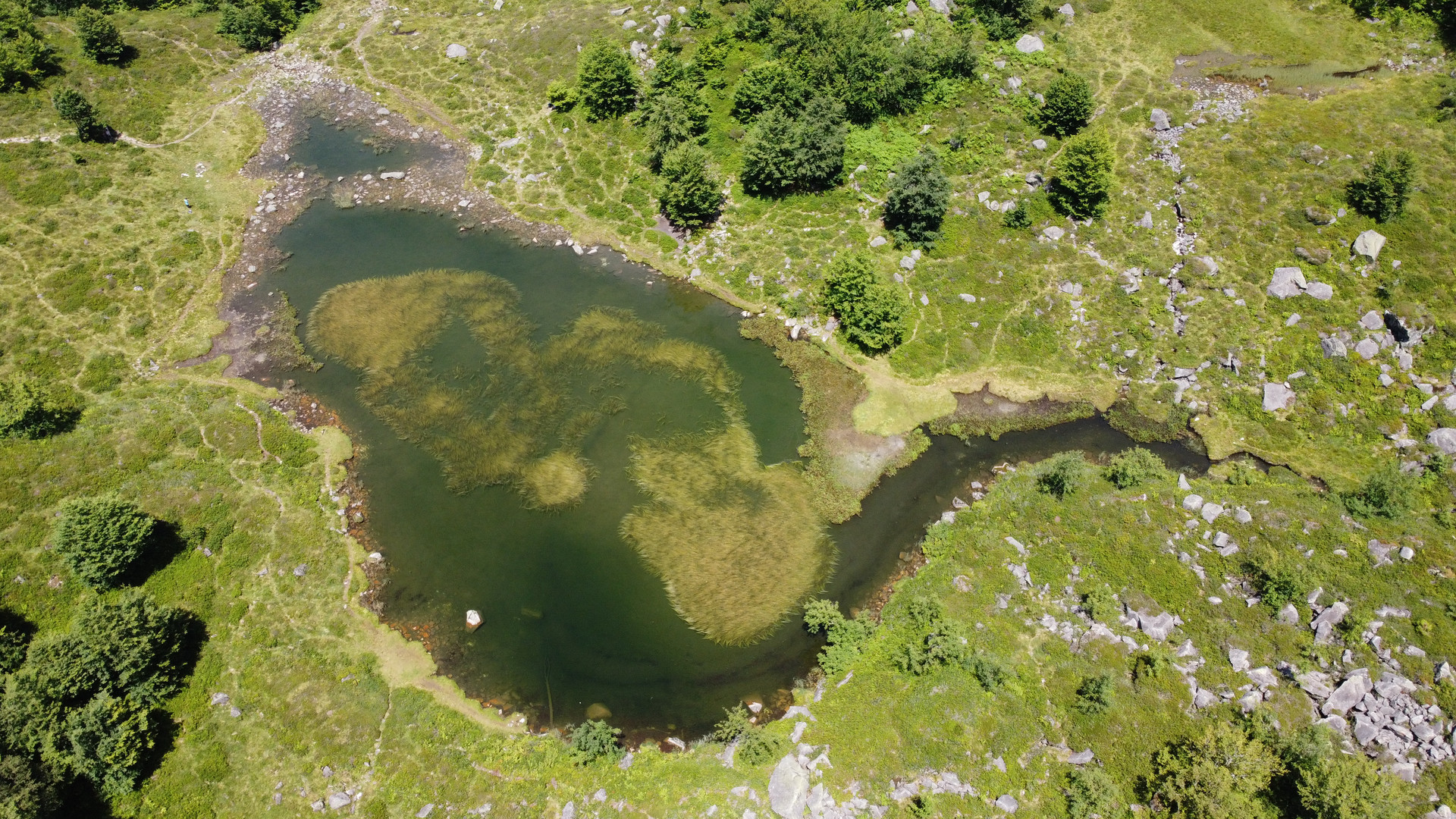 etang de LABANT