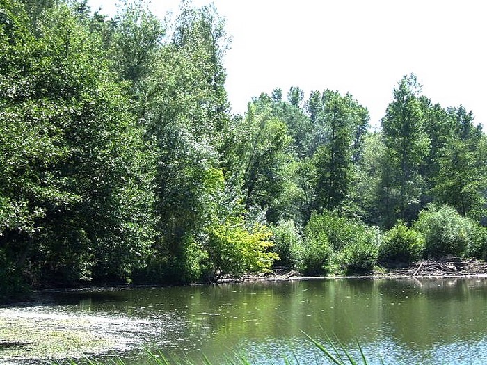 etang de Lamalhaute