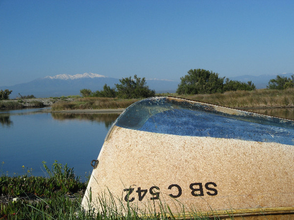 Etang de Leucate vue sur la Canigou