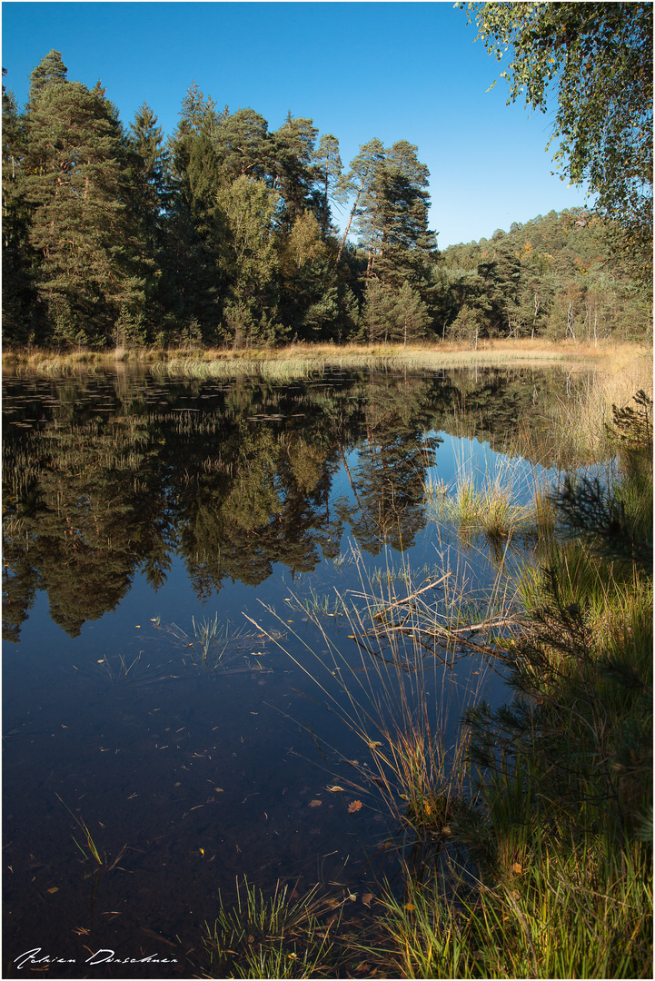 Etang de Lieschbach