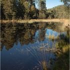 Etang de Lieschbach