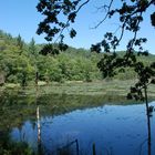 Etang de Lieschbach