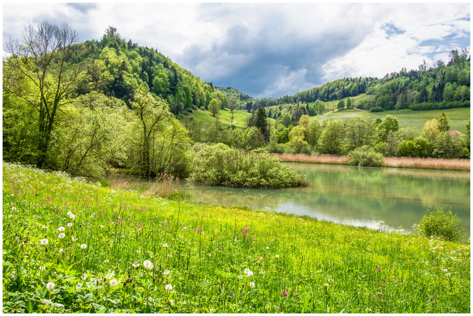 Etang de Lucelle