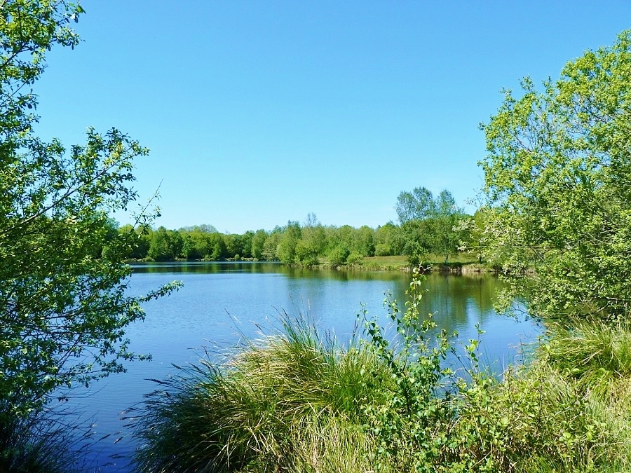 Etang de Ménéhouarn Plouay (Morbihan) photo et image paysages, lacs