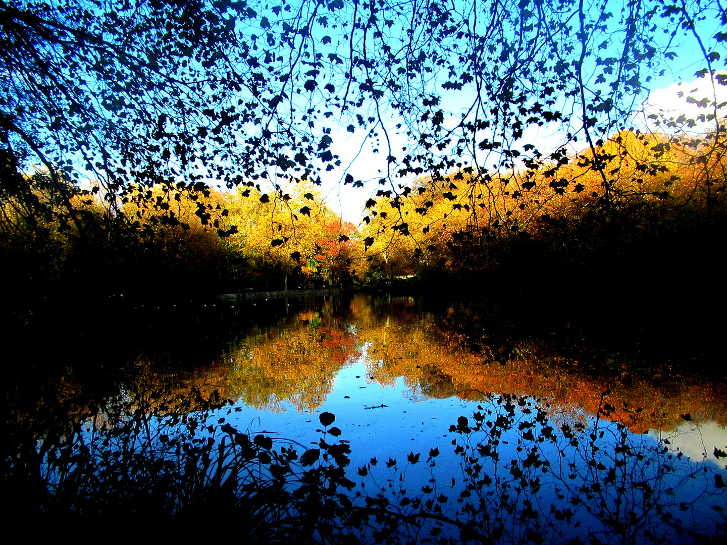 Etang de Meudon.