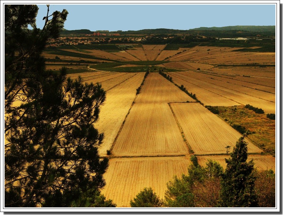 ETANG DE MONTADY