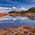 Etang de Nerac,