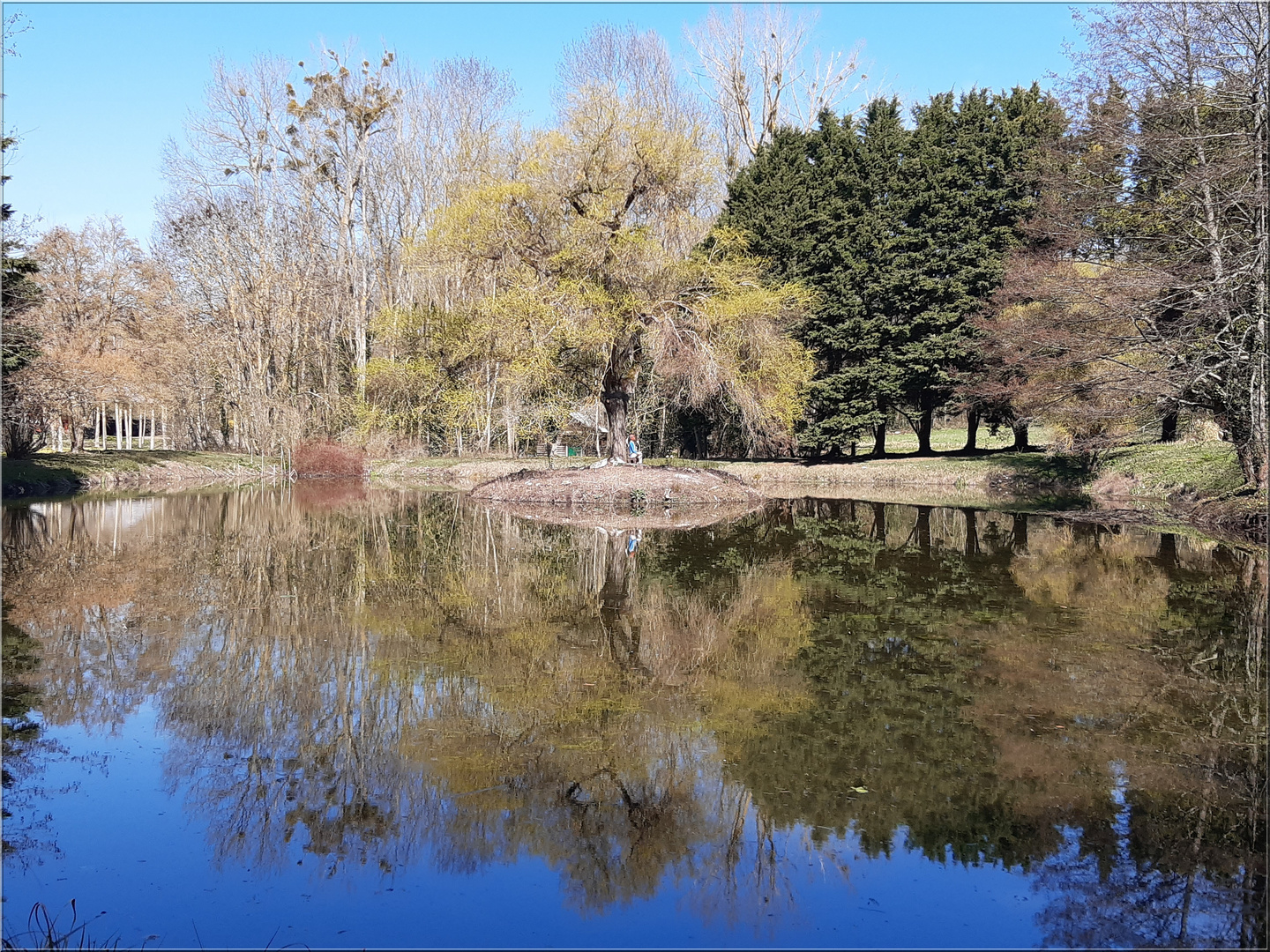 ..Etang de pêche dans le 45..