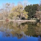 ..Etang de pêche dans le 45..