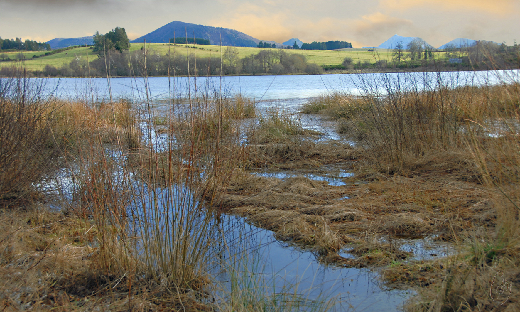 Etang de Pulvérière (Auvergne)