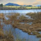 Etang de Pulvérière (Auvergne)