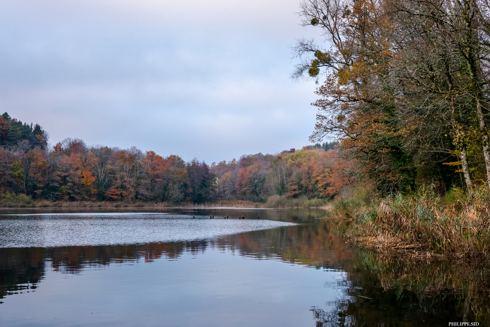 Etang de Reynel