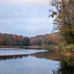 Etang de Reynel