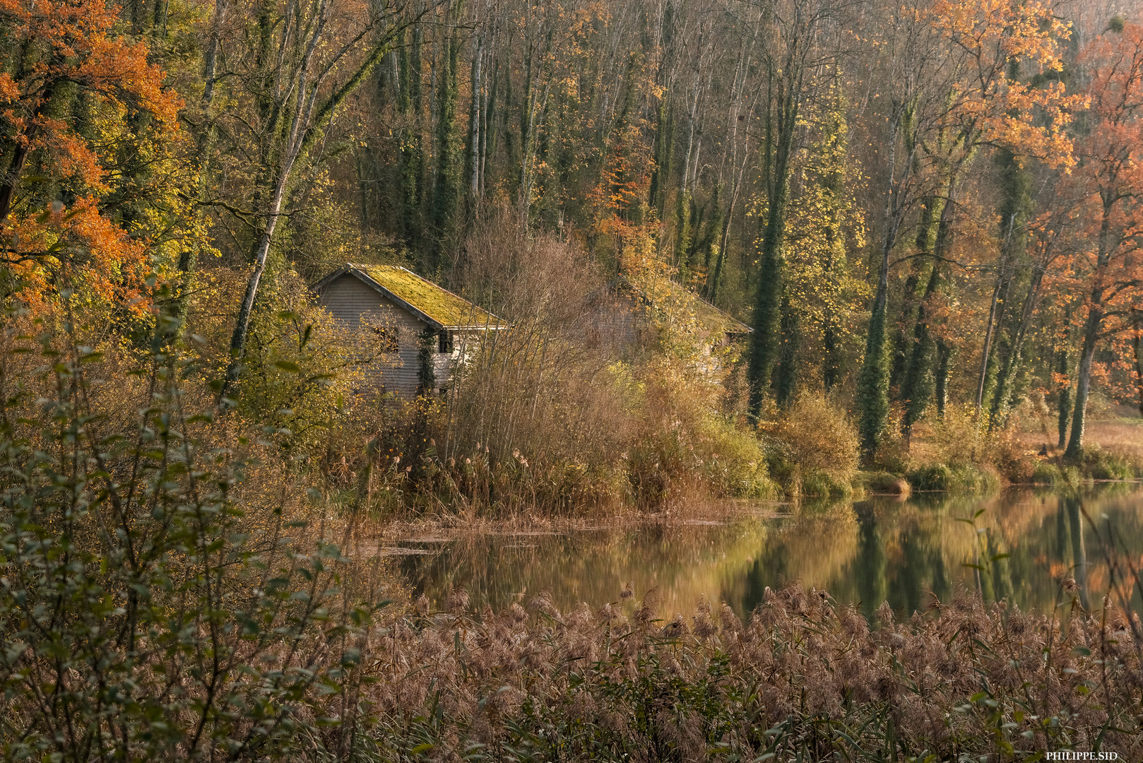 Etang de Reynel