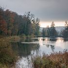 Etang de Reynel