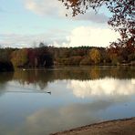 ETANG DE SOLOGNE EN AUTOMNE