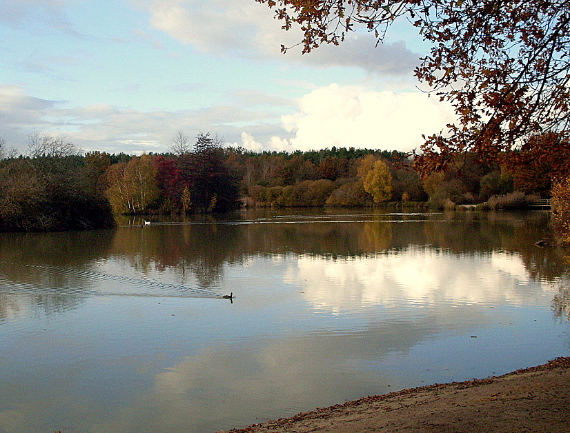 ETANG DE SOLOGNE EN AUTOMNE