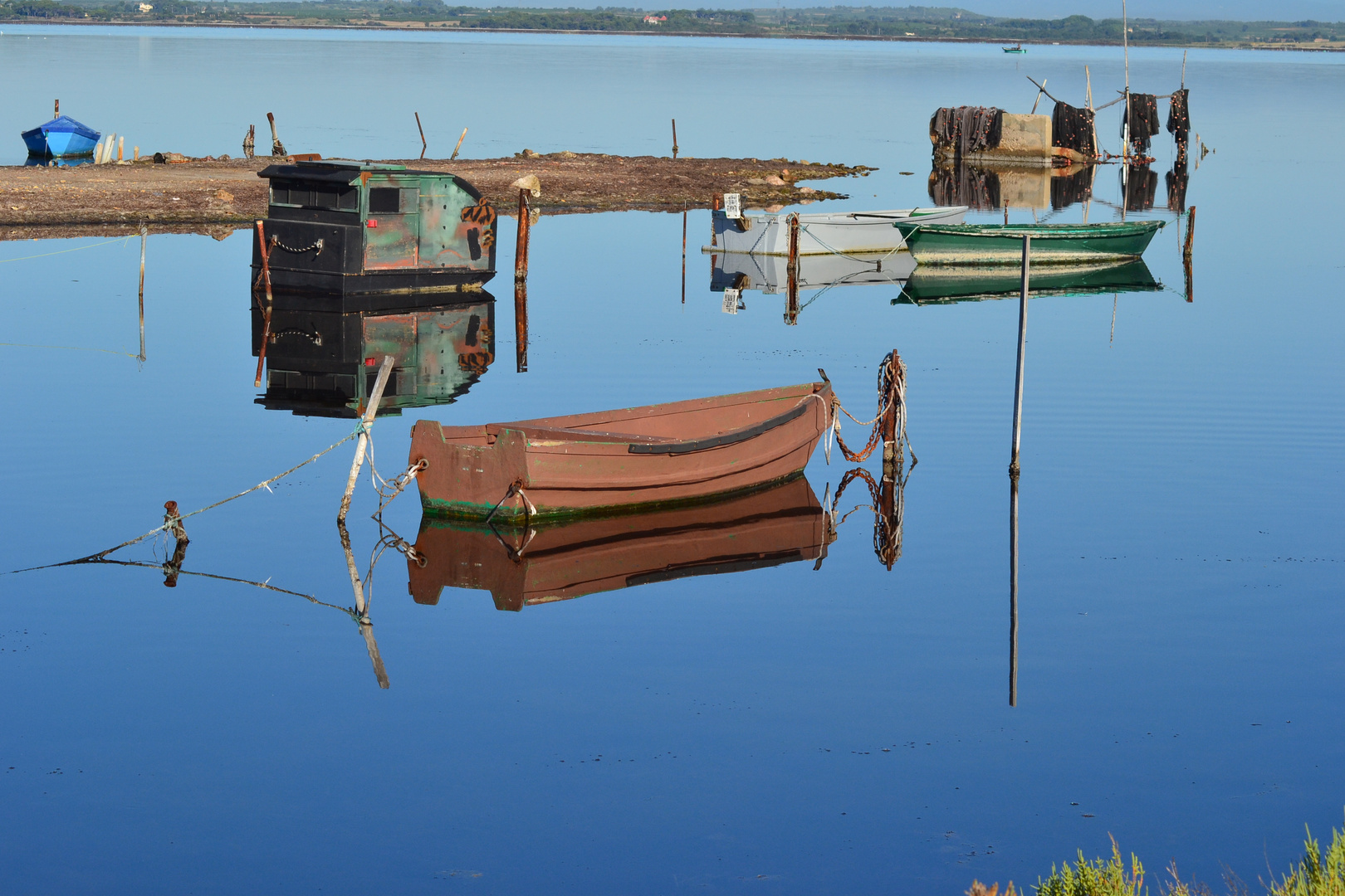 Etang de thau (34)