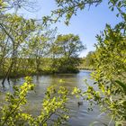 Etang de Vaugrenier