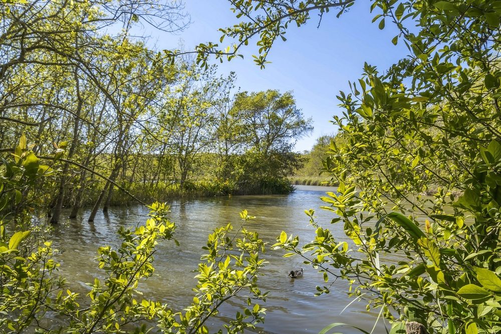 Etang de Vaugrenier