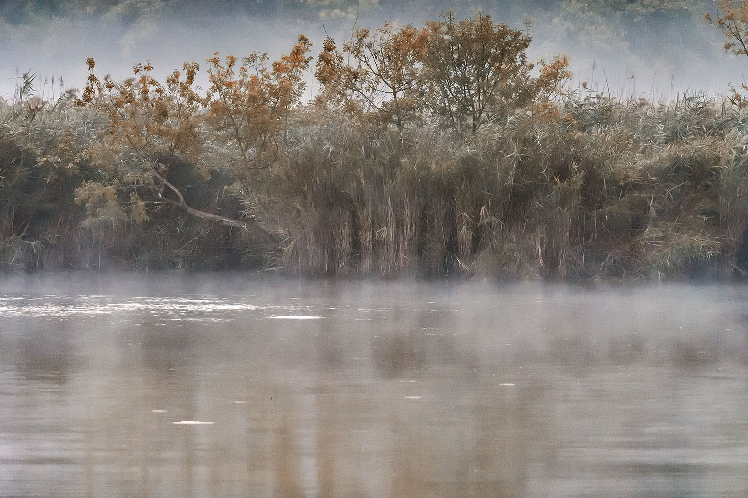 Etang de Vaugrenier