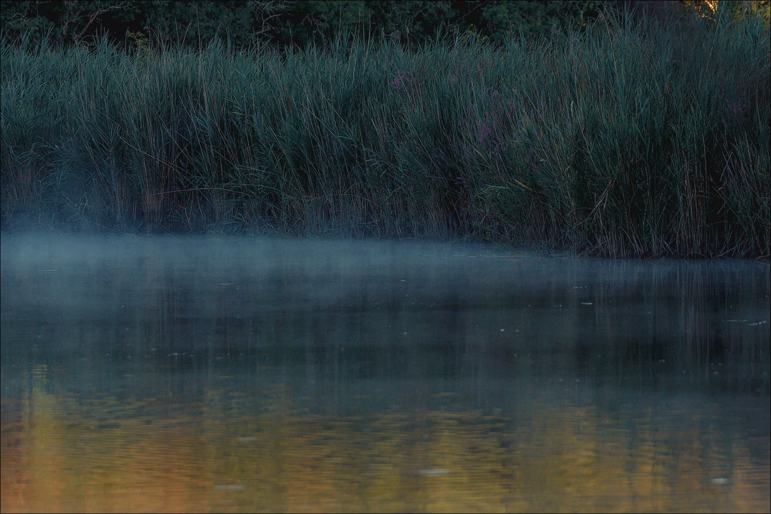 Etang de vaugrenier brume matinale