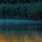 Etang de vaugrenier brume matinale