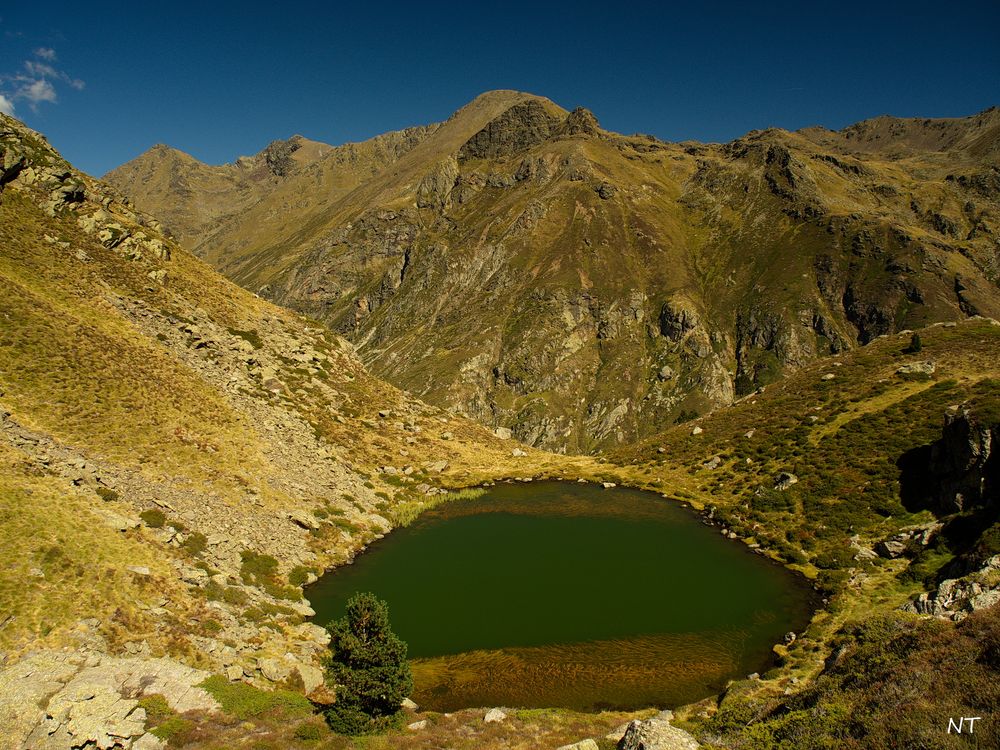 Etang des crapauds.