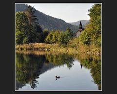 Etang des Dames