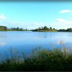 ETANG - DES - DOMBES - 2 -