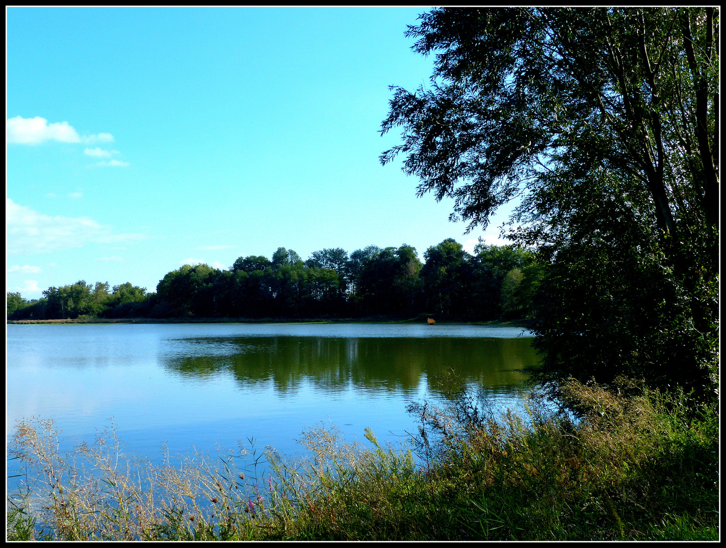 ETANG - DES - DOMBES