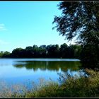 ETANG - DES - DOMBES