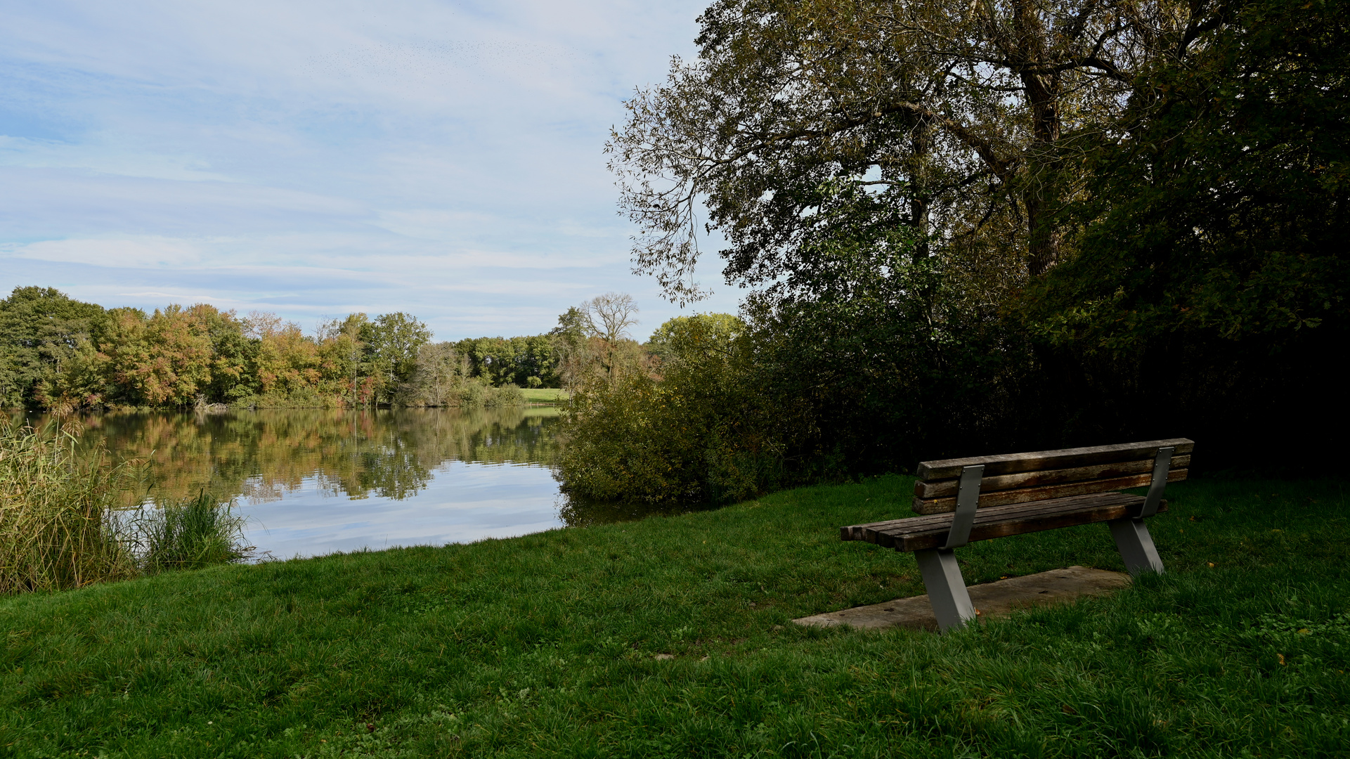 Etang des Forges (Belfort)