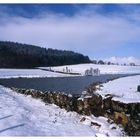 Etang des Montets