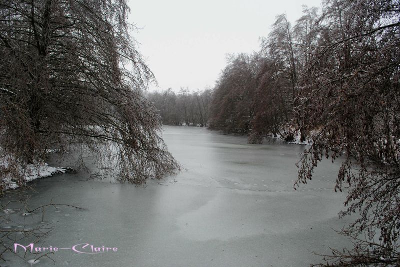 Etang des Princes