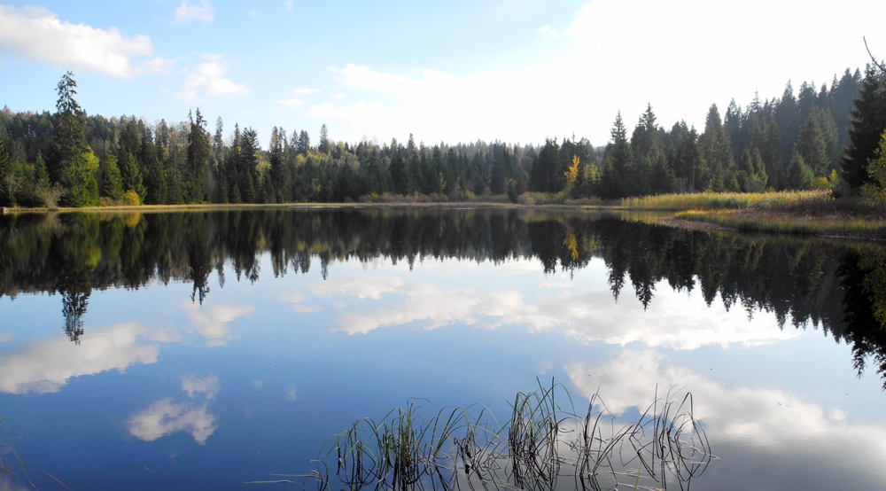 Etang des Royes