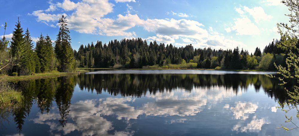 Etang des Royes