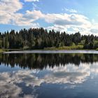 Etang des Royes