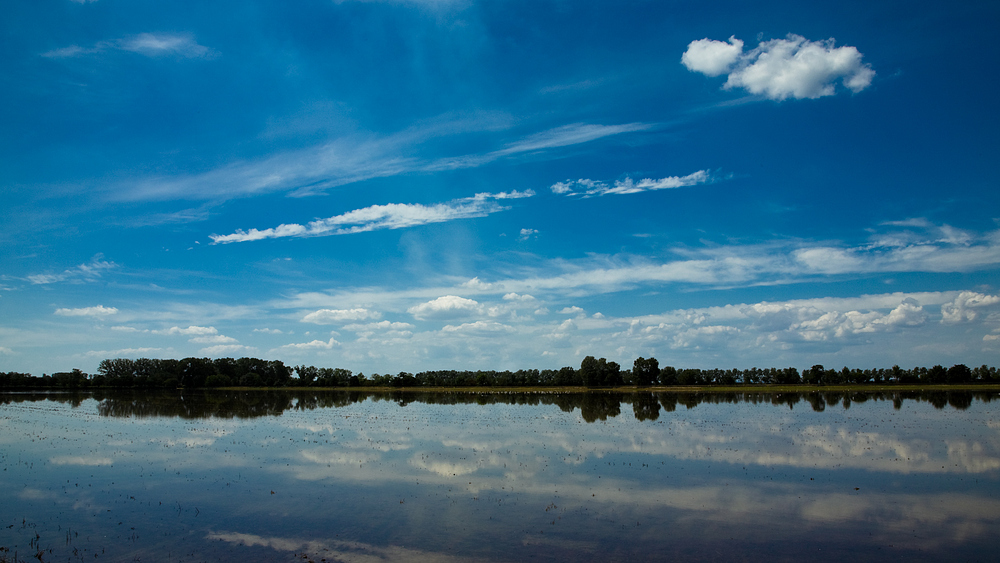 Etang des Vaccarès