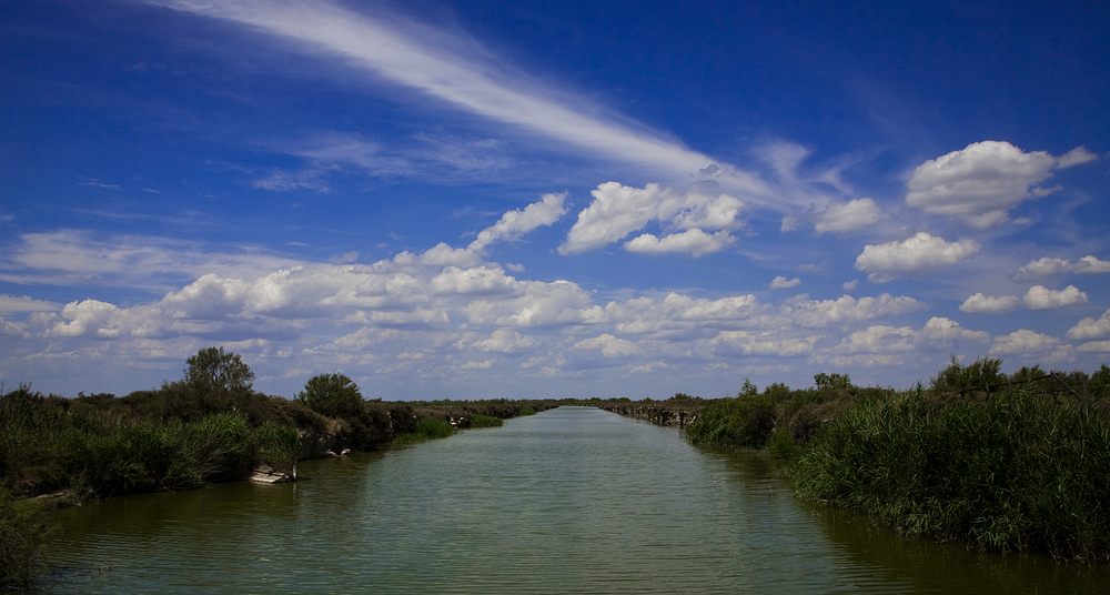 Etang des Vaccarès II