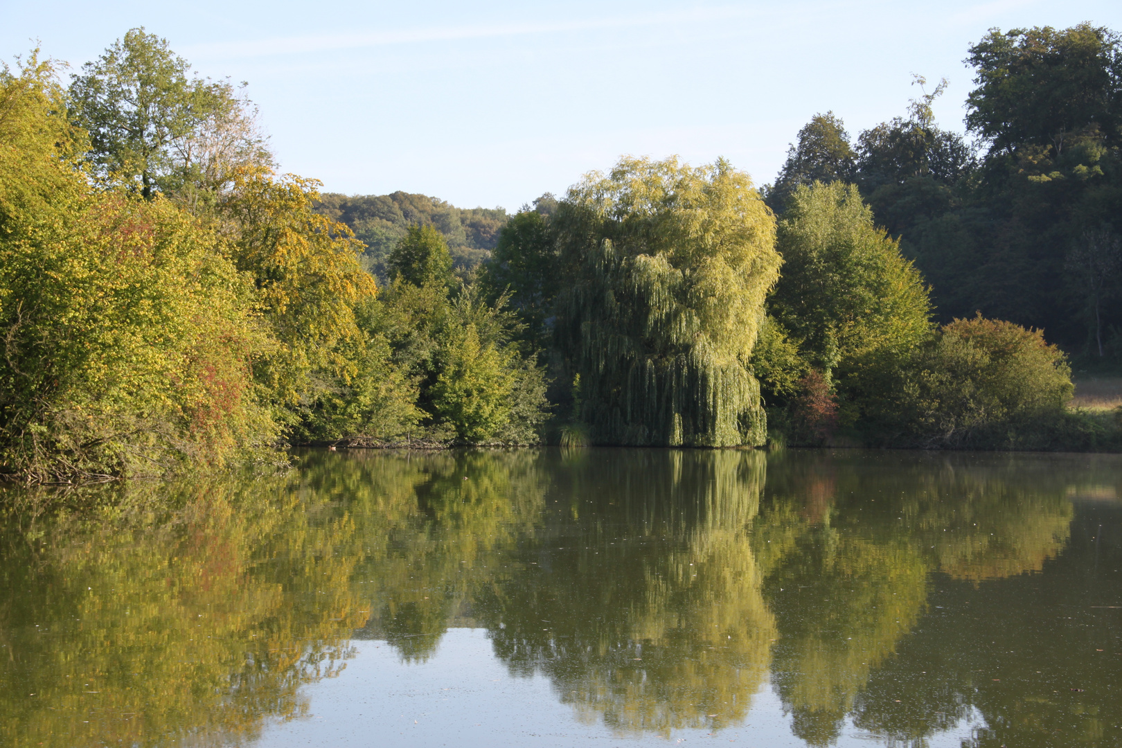 Etang du chateau d'Offemont