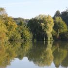 Etang du chateau d'Offemont