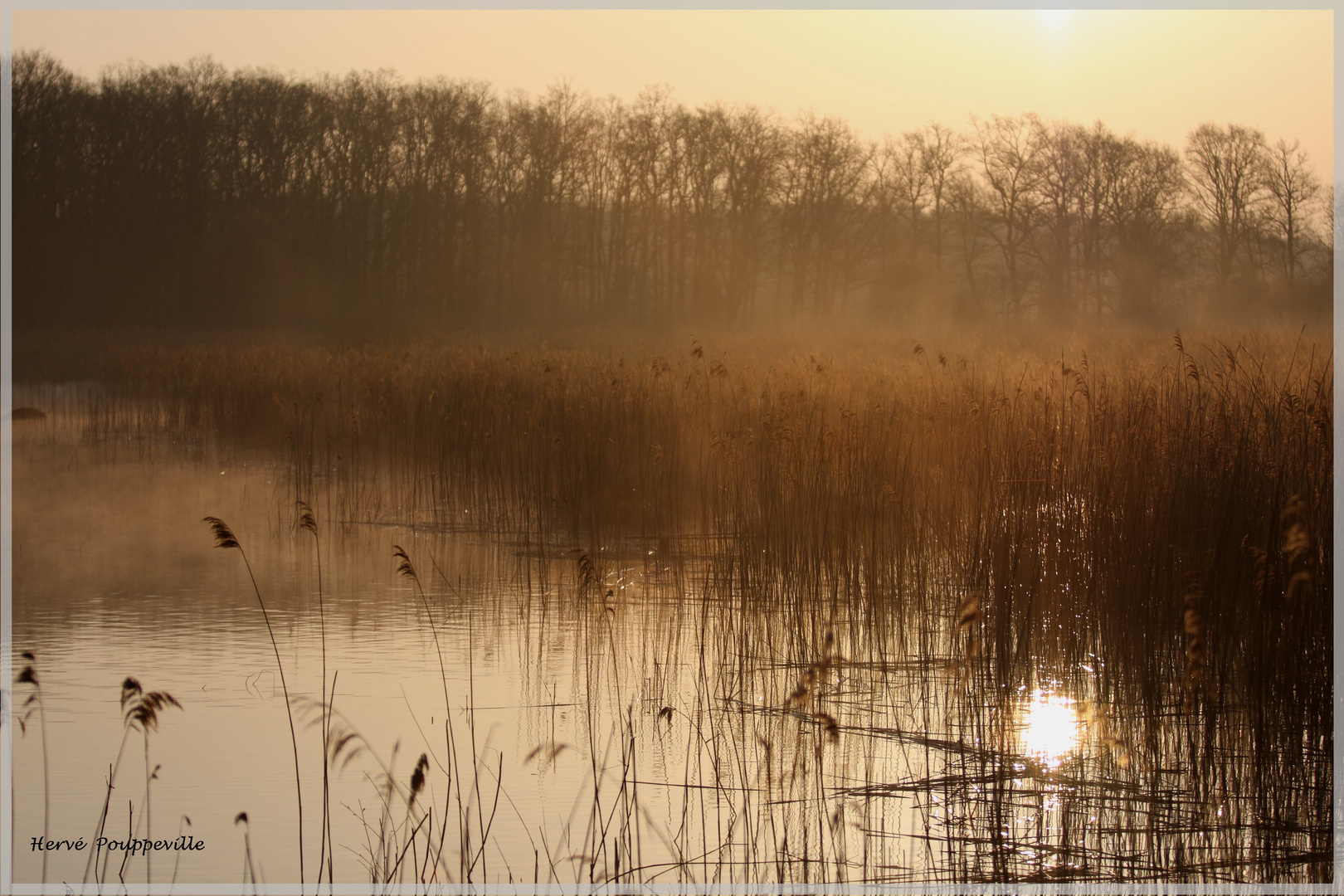 Etang du grand coulon OUTINES