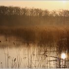 Etang du grand coulon OUTINES