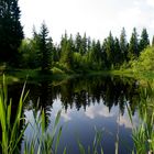 Etang du Lavoir