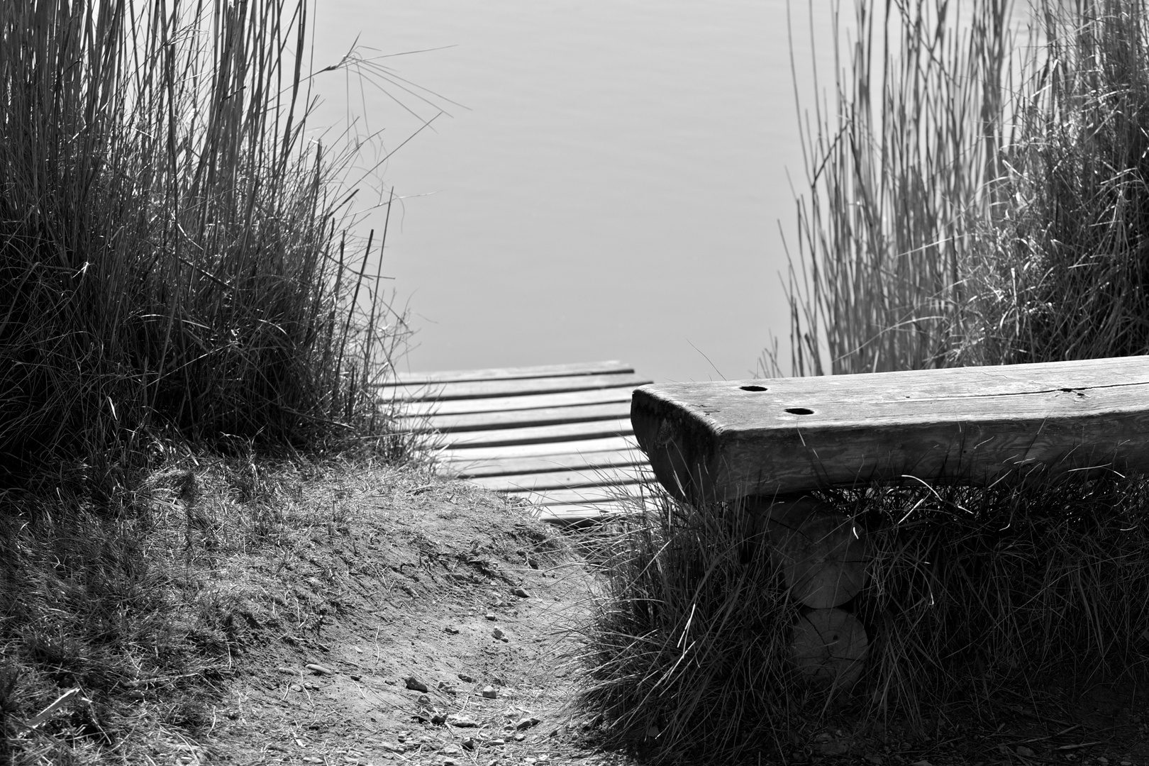 Etang du Pont de Gau