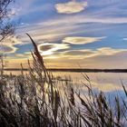 Etang du Vacarès.....