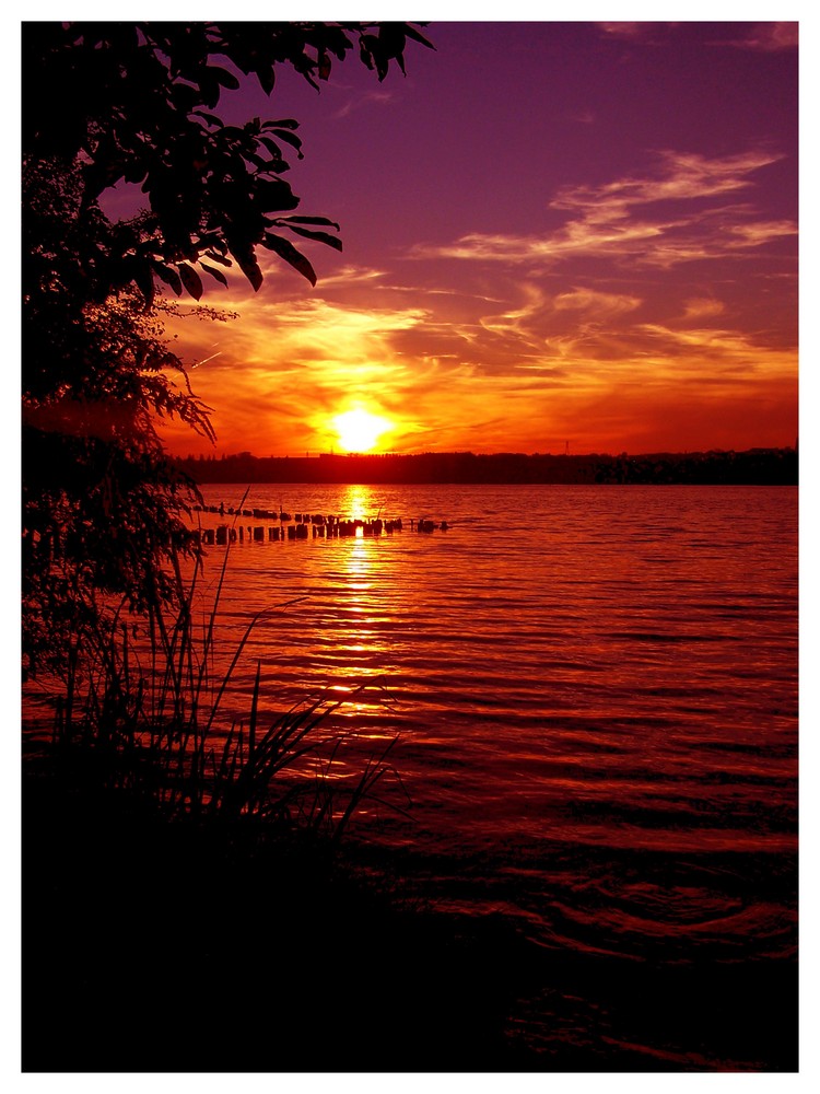 Etang du Vignoble